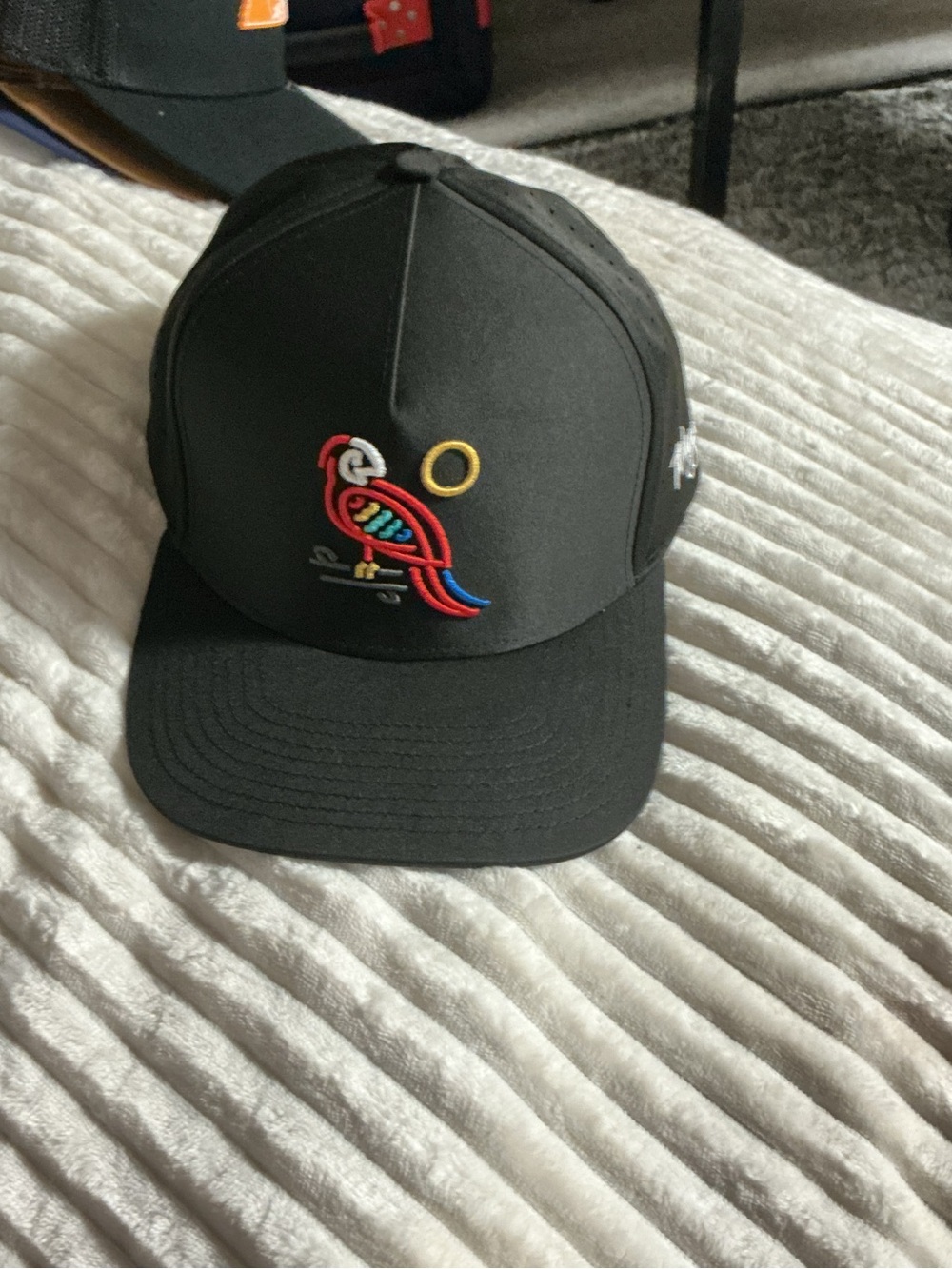 Men's Black Baseball Cap with Colorful Parrot Embroidery